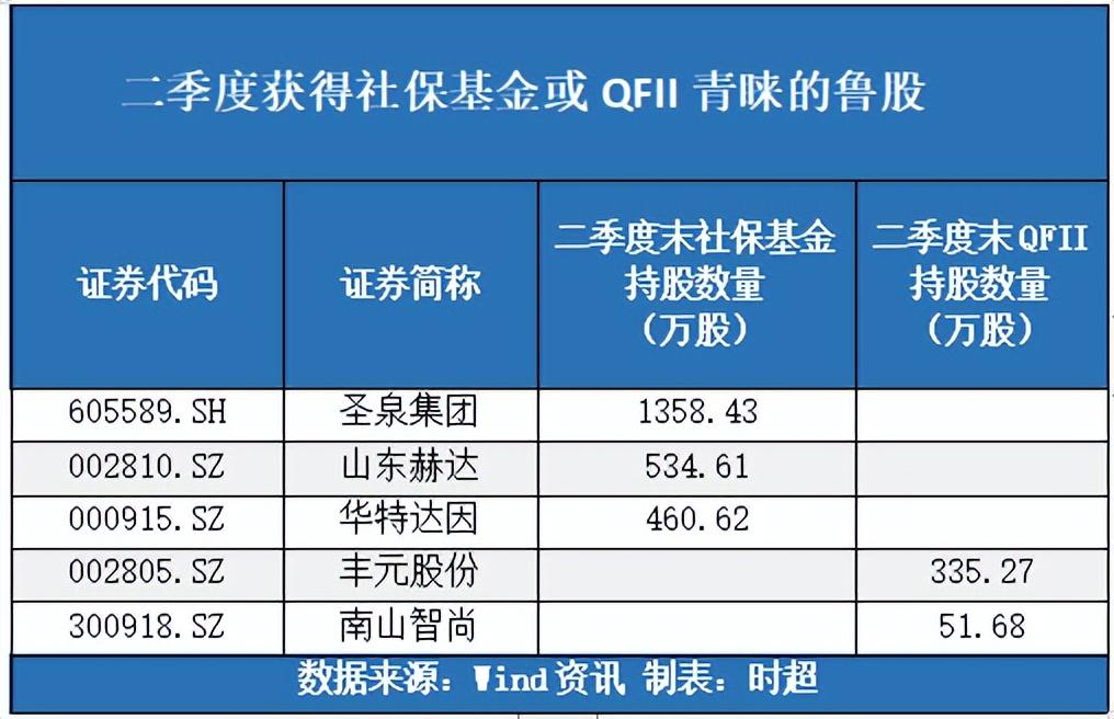 网站开发 第14页