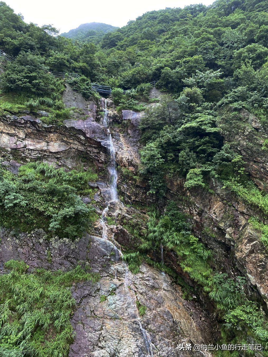 峡谷新春减压小剧场真的会蟹，一场峡谷中的欢乐盛宴