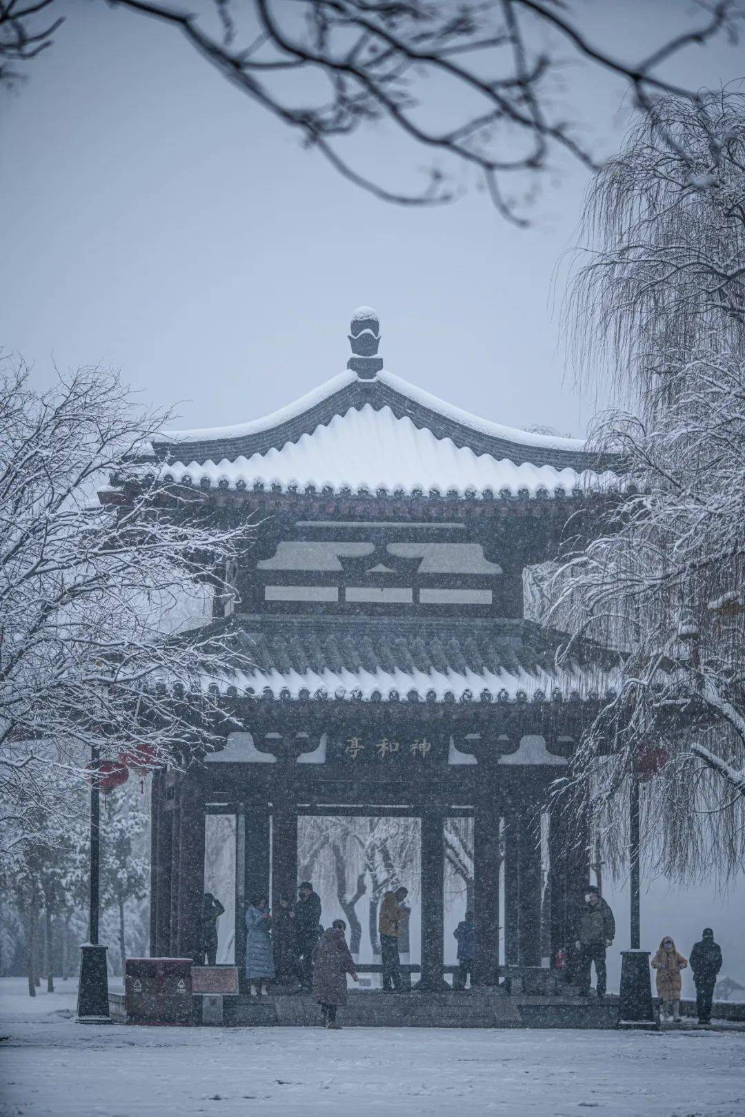 洛阳城内雪景醉人