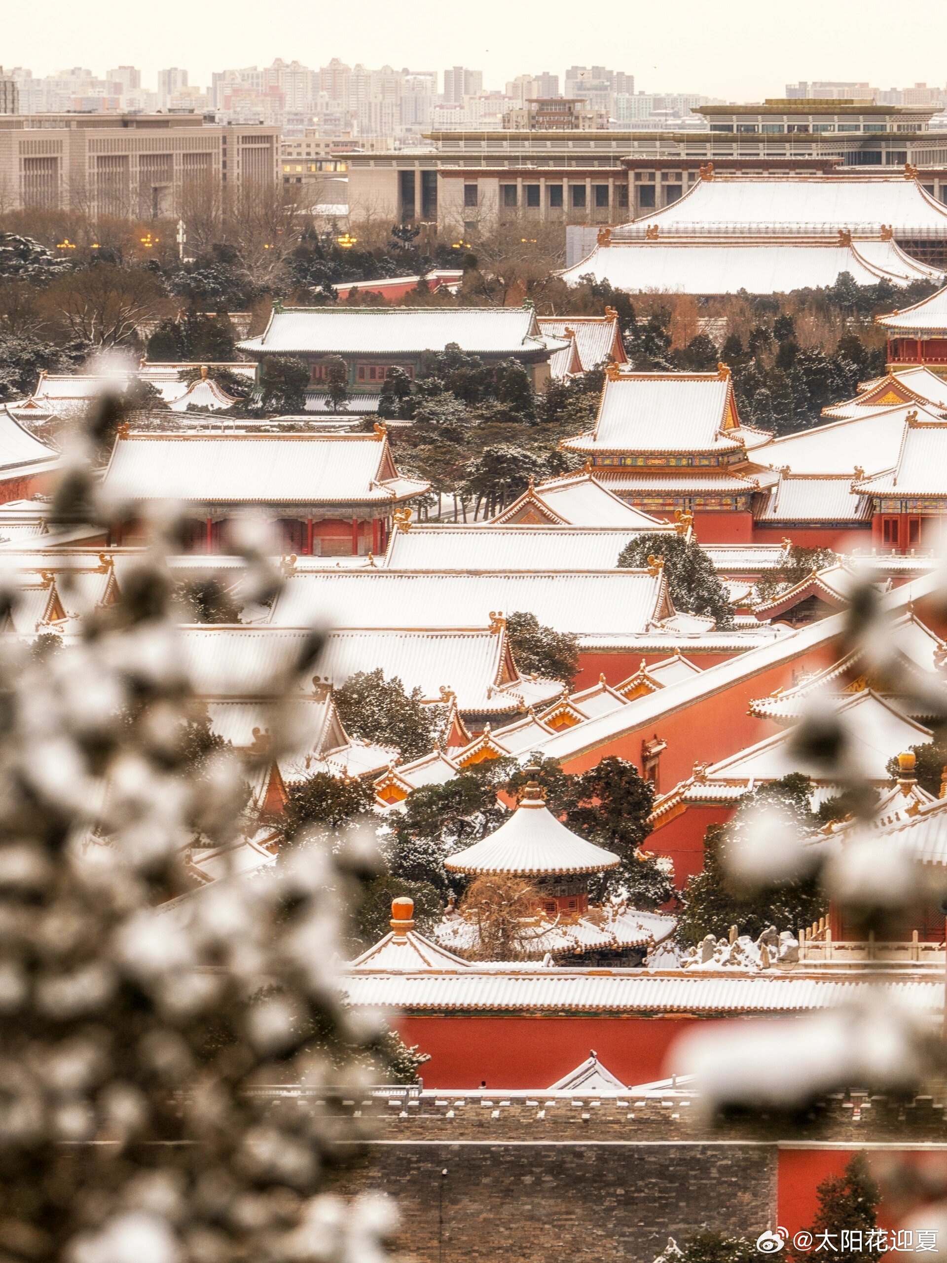 北京的雪，漫天飞舞的冬日恋歌