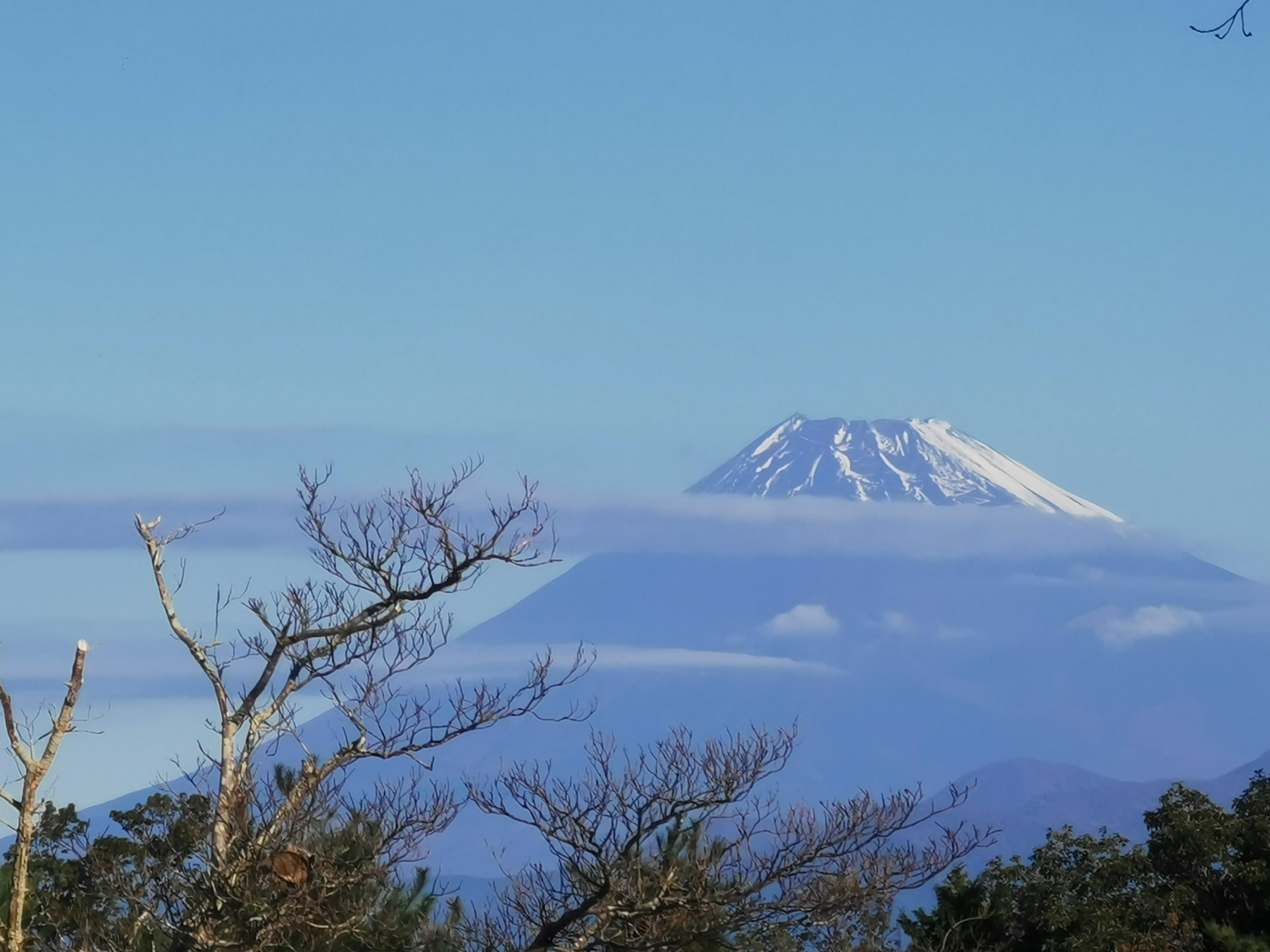 日本惊现积雪巨厚达五米，雪灾背后的真相揭秘！