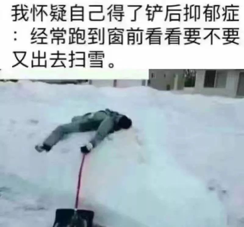 华人遇暴雪铲雪后遭遇抑郁风波，深度解读背后的故事与困境