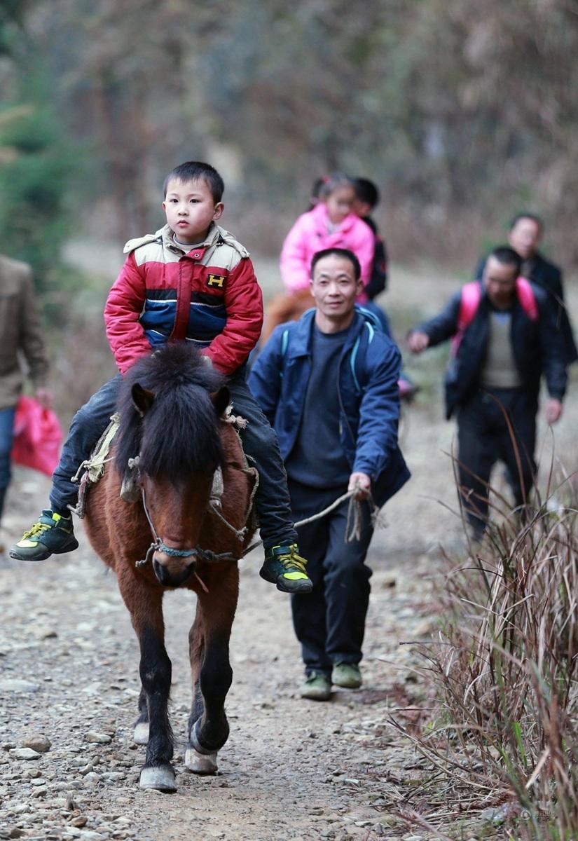 幼儿园小朋友骑马上学惊现街头，围观群众热议纷纷，背后真相究竟如何？