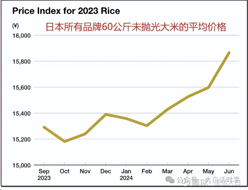 日米价暴涨背后的真相，中国被误解的背后深层原因揭秘