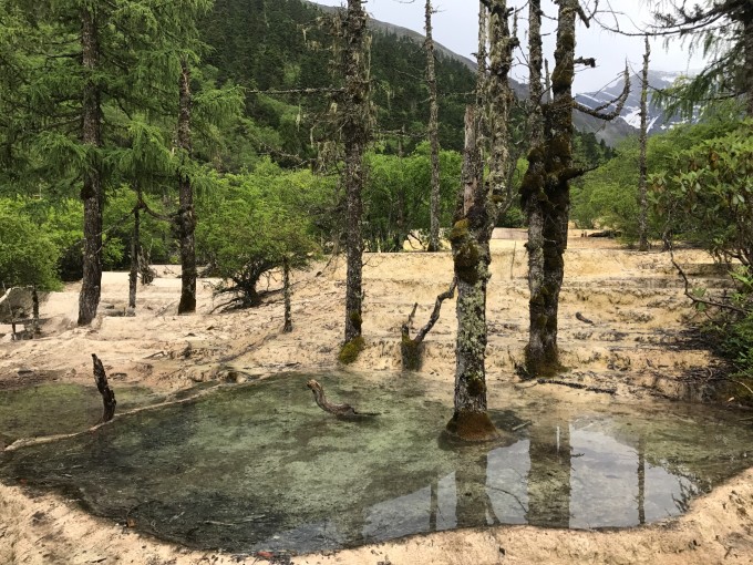 九寨沟用糯米汁修复，古老智慧重塑自然之美