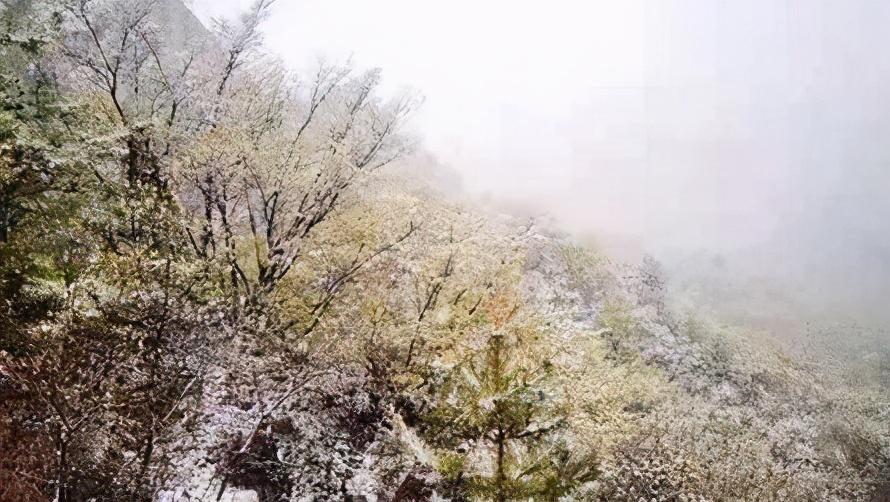 北京门头沟瑞雪纷飞，雪落背后的故事与奇迹