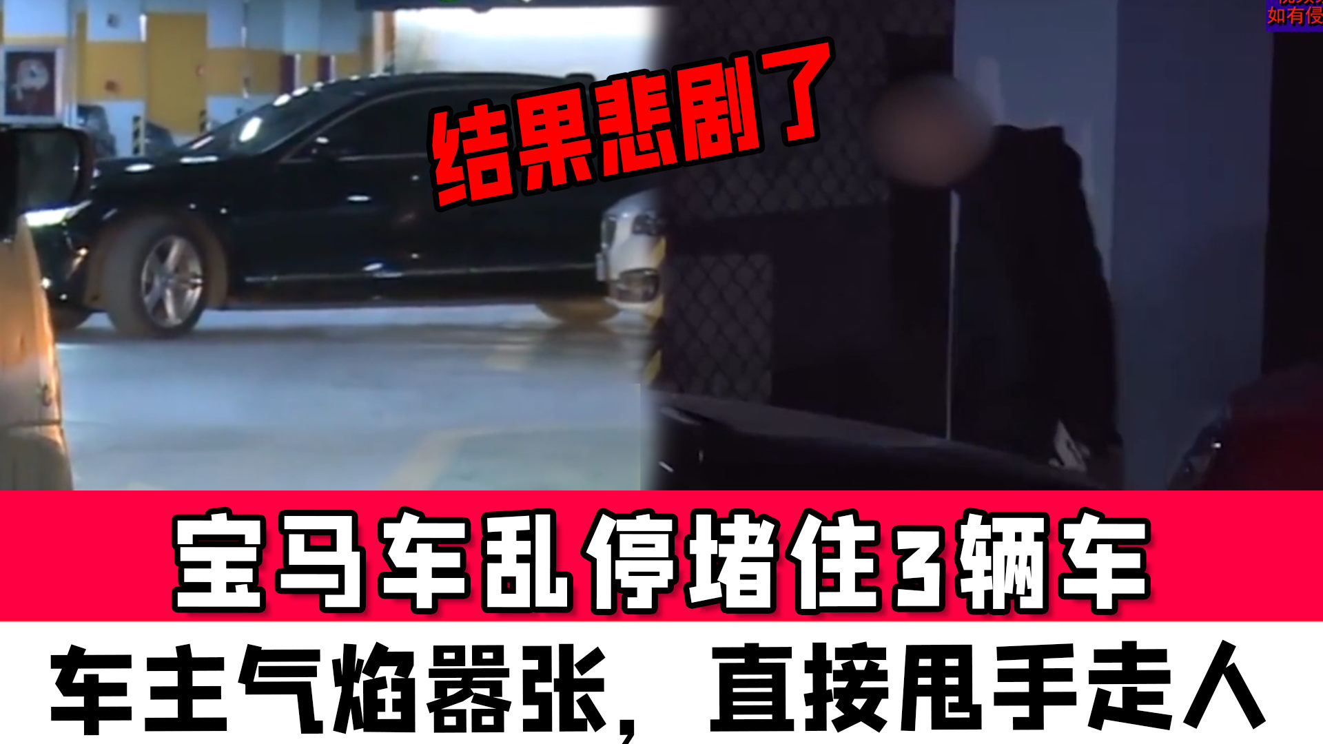 小伙停车木棉树下遭遇悲剧，香港街头警示深刻！