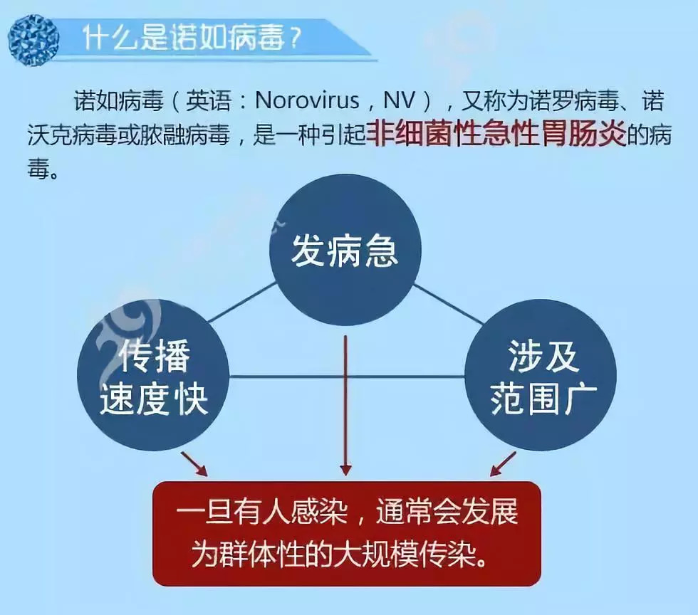 推荐，警惕！诺如病毒并非儿童专属，大人同样易感染！真相揭秘在此！