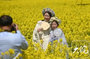 南宁一学生被蜜蜂“围殴”倒地