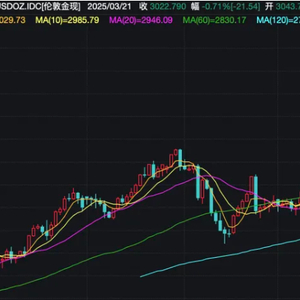 震惊！炒金新姿势，刷爆信用卡，投入30万挑战黄金市场！